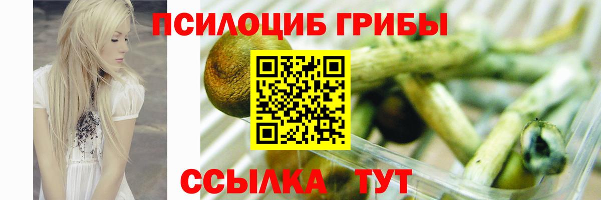 Новочеркасск  наркошоп  Вход с VPN  Галлюциногенные грибы Psilocybe 