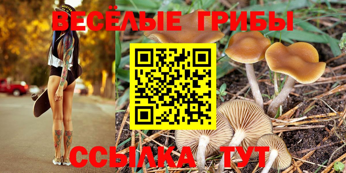 Галлюциногенные грибы GOLDEN TEACHER Новочеркасск